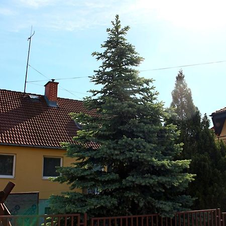 Hotel Dom Studia Petra Štúrovo Exterior foto